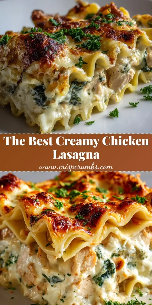 A delicious slice of creamy Chicken Lasagna Bake on a white plate, showcasing the cheesy layers. This easy recipe is perfect for a comforting weeknight dinner.